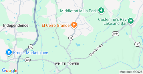 Google map